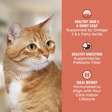 Heritage Ranch by H-E-B Adult Indoor Grain-Free Dry Cat Food - Salmon & Chickpea, 6 lb