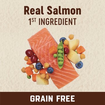 Heritage Ranch by H-E-B Adult Indoor Grain-Free Dry Cat Food - Salmon & Chickpea, 6 lb