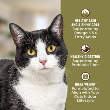 Heritage Ranch by H-E-B Adult Indoor Grain-Free Dry Cat Food - Chicken & Chickpea