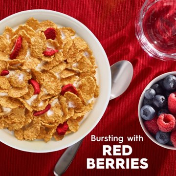 Kellogg's Special K Red Berries Cold Breakfast Cereal, 15.6 oz