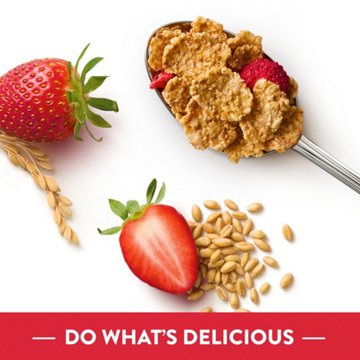 Kellogg's Special K Red Berries Cold Breakfast Cereal, 15.6 oz