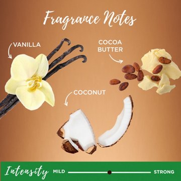 Garnier Whole Blends Smoothing Shampoo, Coconut Oil and Cocoa Butter