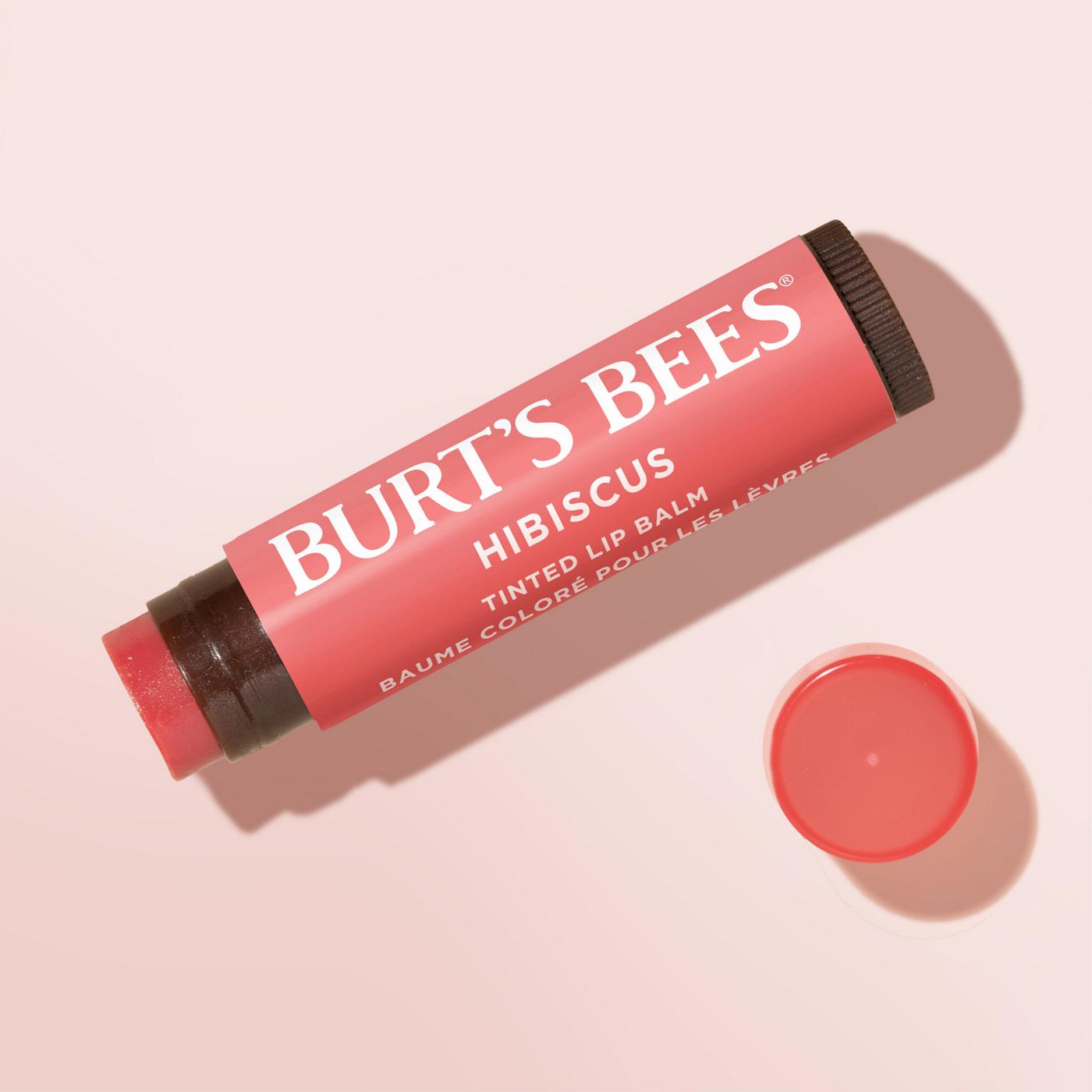 Burt's Bees Hibiscus Tinted Lip Balm Shop Lip Balm & Treatments at HEB