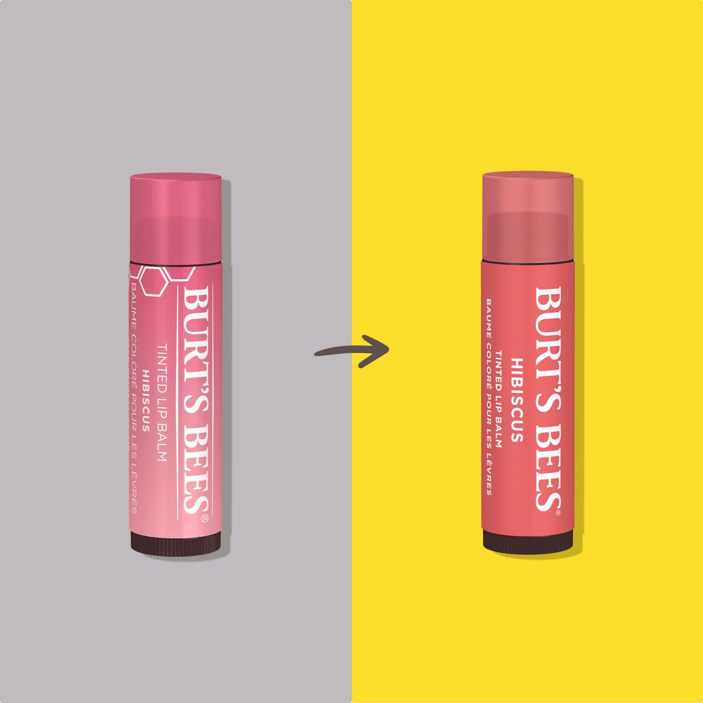 Burt's Bees Hibiscus Tinted Lip Balm Shop Lip balm & treatments at HEB
