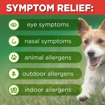 H-E-B Nasopro 24 Allergy Relief Nasal Spray - 144 Sprays, .62 oz