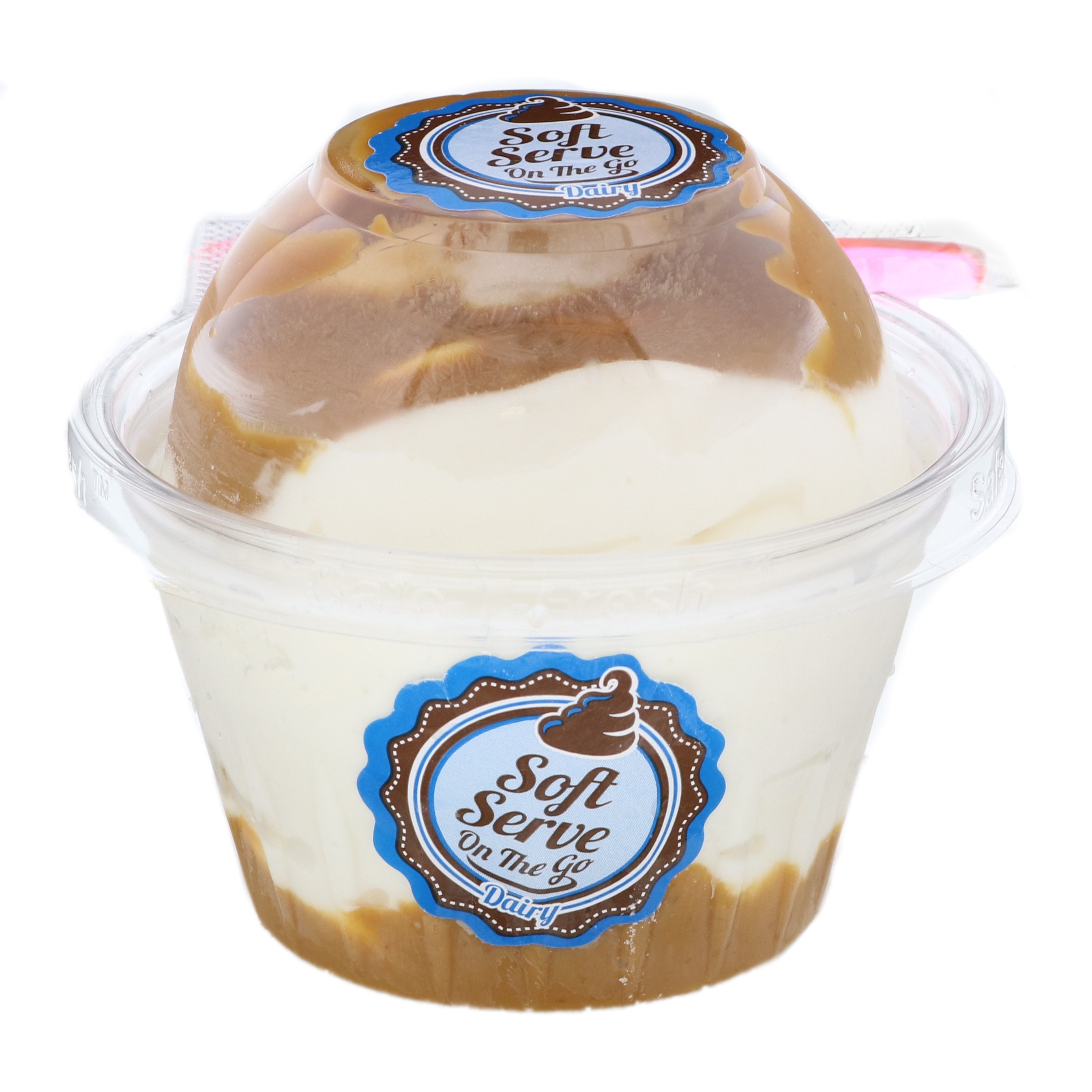 Klein's Kosher Dairy Soft Serve Caramel Vanilla Ice Cream Shop Ice