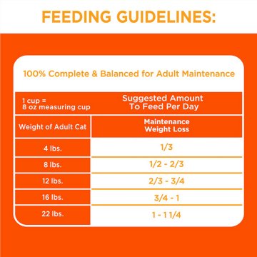 IAMS Proactive Health Adult Healthy Dry Cat Food - Chicken Cat Kibble, 7 lb