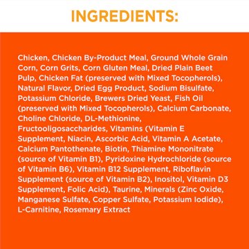 IAMS Proactive Health Adult Healthy Dry Cat Food - Chicken Cat Kibble