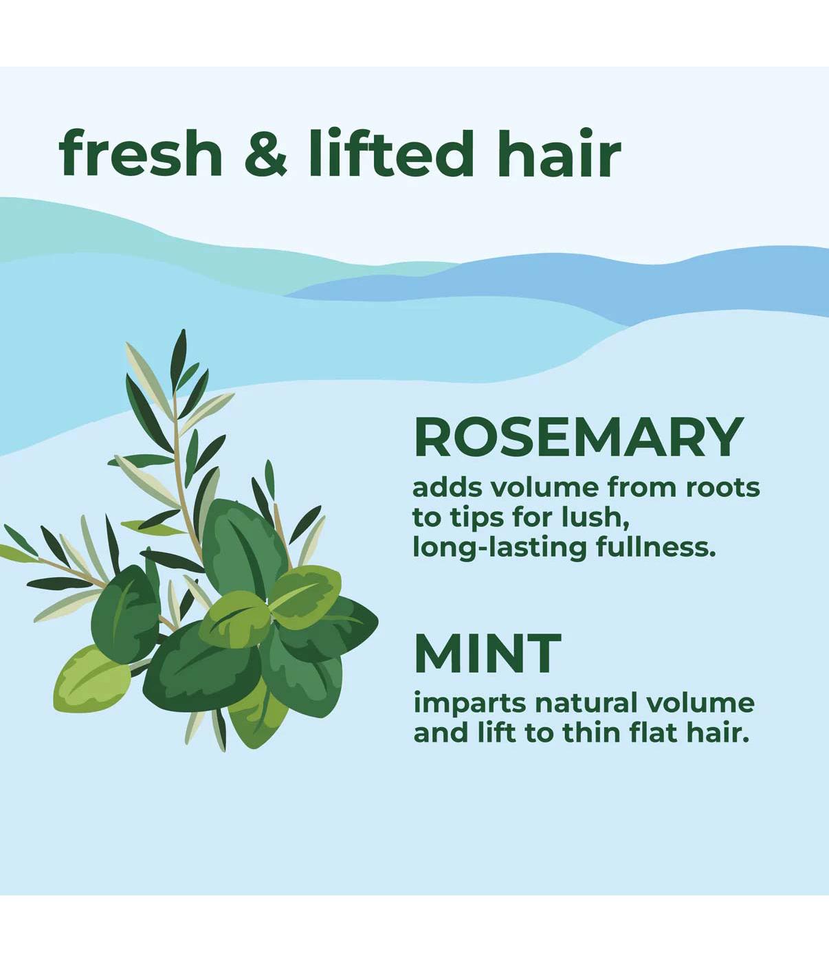 Petal Fresh Pure Volumizing Shampoo - Rosemary & Mint ; image 2 of 4