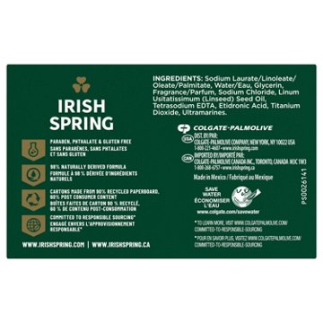 Irish Spring Icy Blast Deodorant Bar Soap for Men