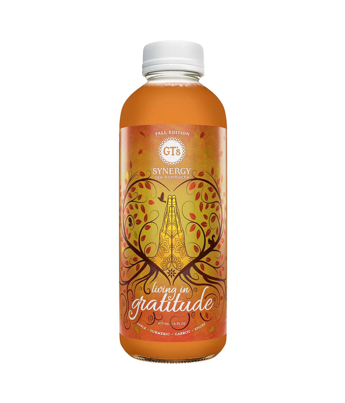 GT's Synergy Fall Edition Seasonal Kombucha - Living In Gratitude; image 1 of 2