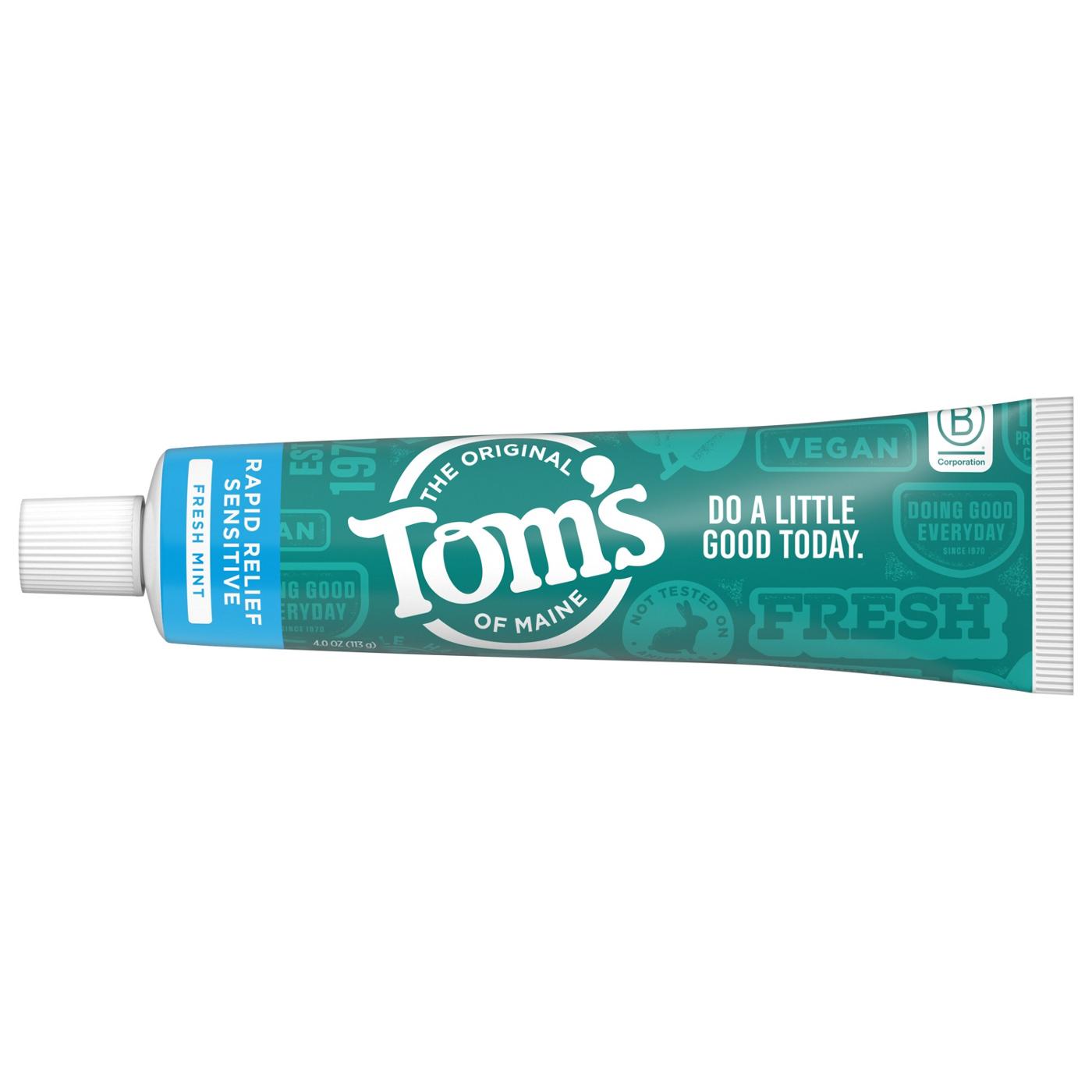 Tom's of Maine Rapid Relief Sensitive Toothpaste - Fresh Mint; image 2 of 8