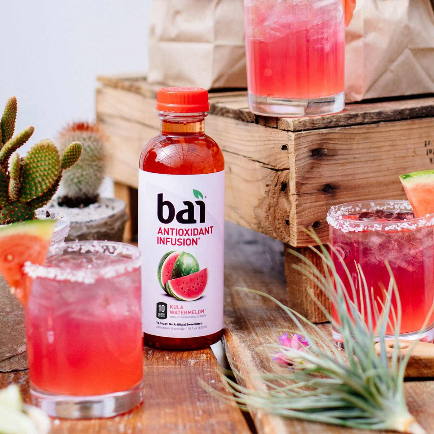 Bai Antioxidant Infusion Kula Watermelon Beverage; image 4 of 4