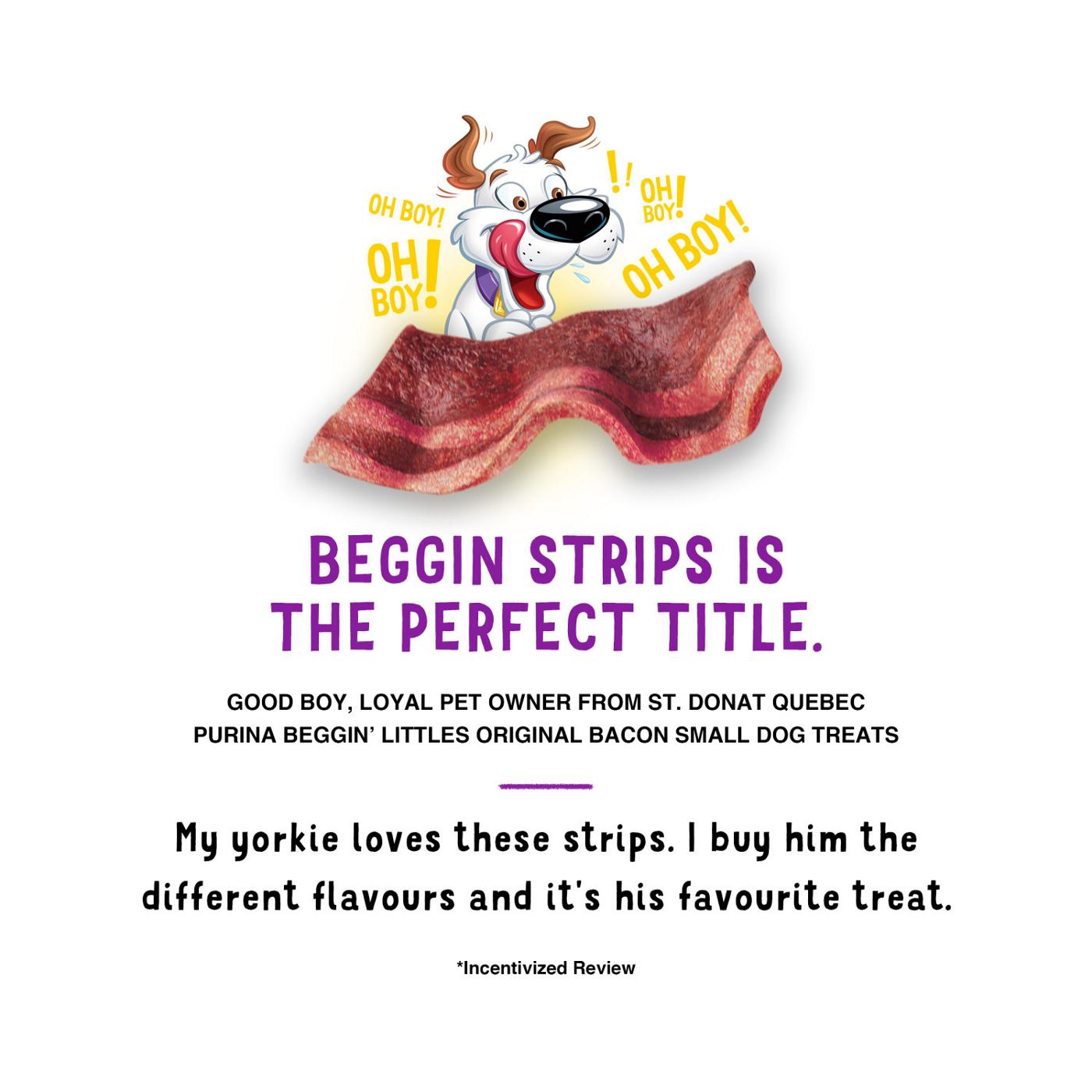 Beggin' Purina With Real Meat Dog Treats Fun Size - Original With Bacon Flavor; image 6 of 6