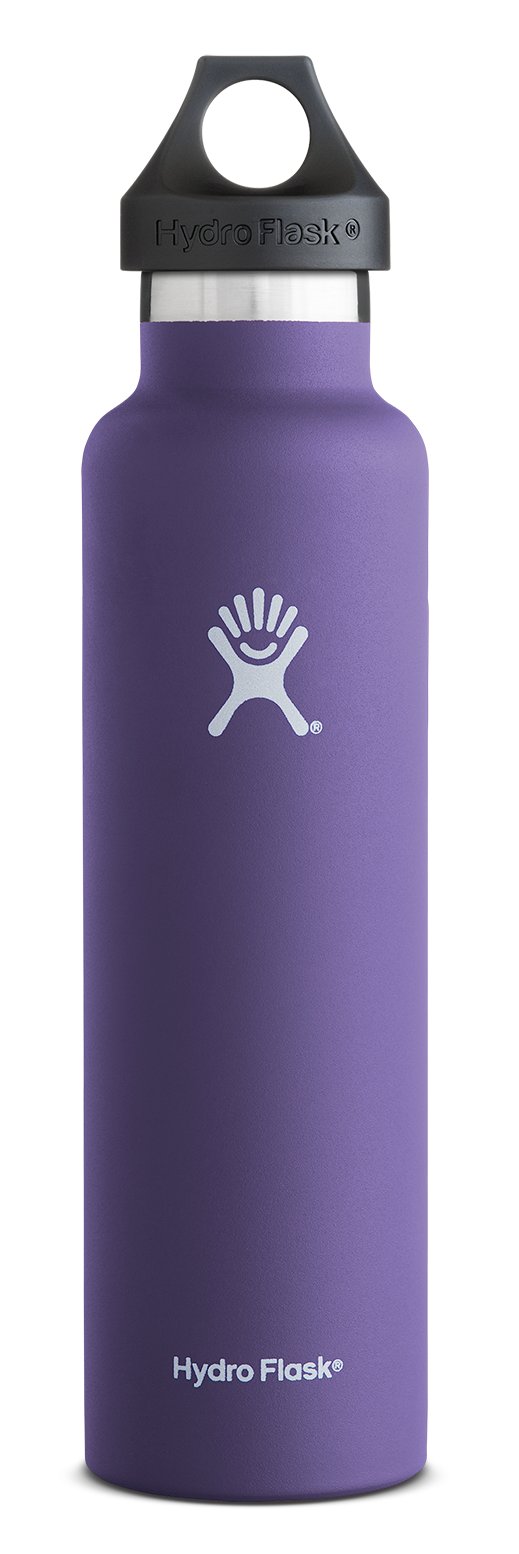 plum hydro flask 24 oz