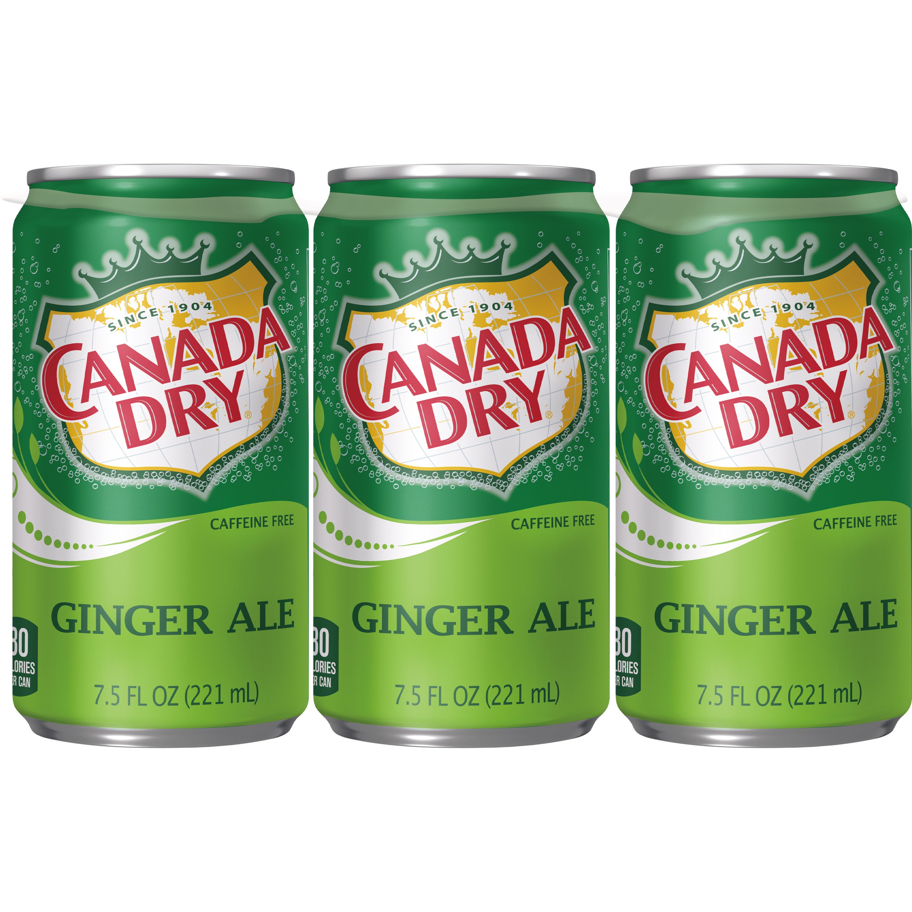 Canada Dry Bold Ginger Ale Ingredients Canada Dry Ginger Ale 7 5 Oz Cans Shop Soda At H E B