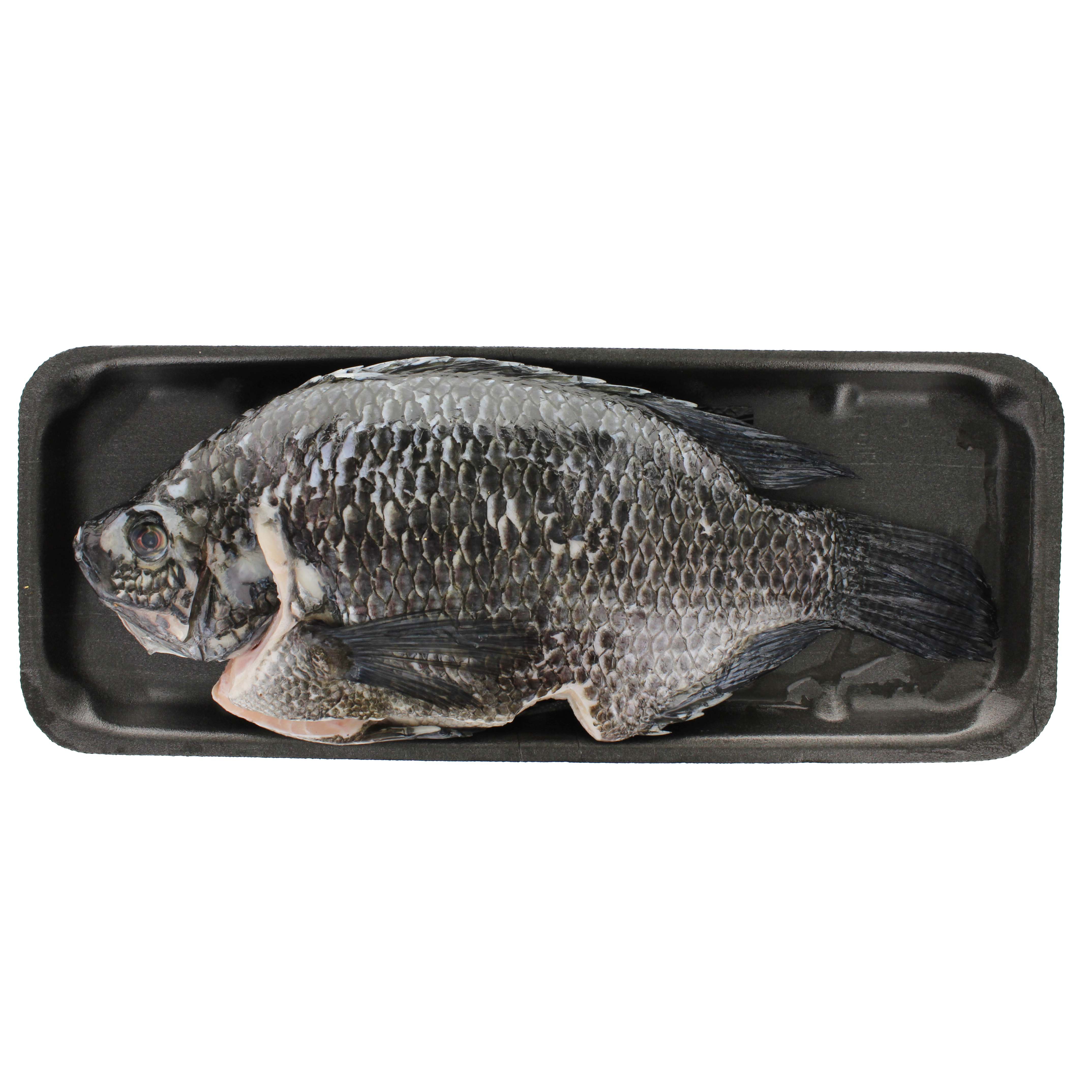 Fresh Whole Tilapia Tray Pack, Farm Raised Shop Fish at HEB