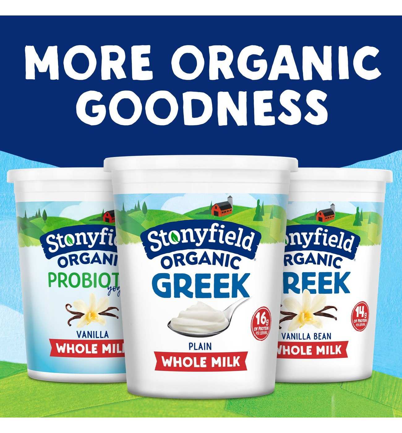 Stonyfield Organic 16g Protein Whole Milk Greek Yogurt - Plain; image 4 of 8