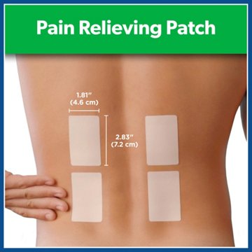 Salonpas Pain Relieving Patch, 20 ct