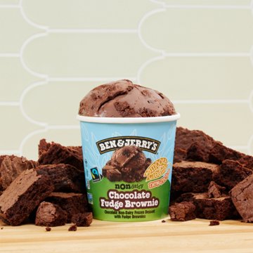Ben & Jerry's Non Dairy Chocolate Fudge Brownie Frozen Dessert