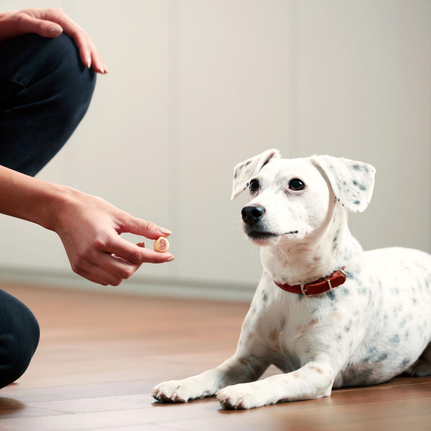 MilkBone Maro Dog Treats; image 5 of 7