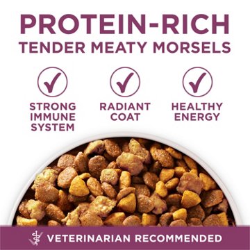 Purina ONE Plus Healthy Puppy Formula High Protein Natural Dry Puppy Food
