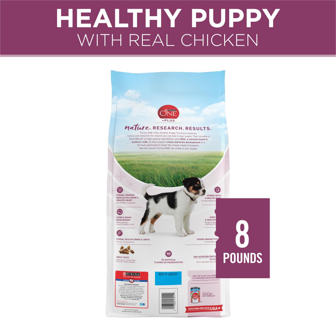 Purina ONE Plus Healthy Puppy Formula High Protein Natural Dry Puppy Food with added vitamins, minerals and nutrients; image 3 of 6