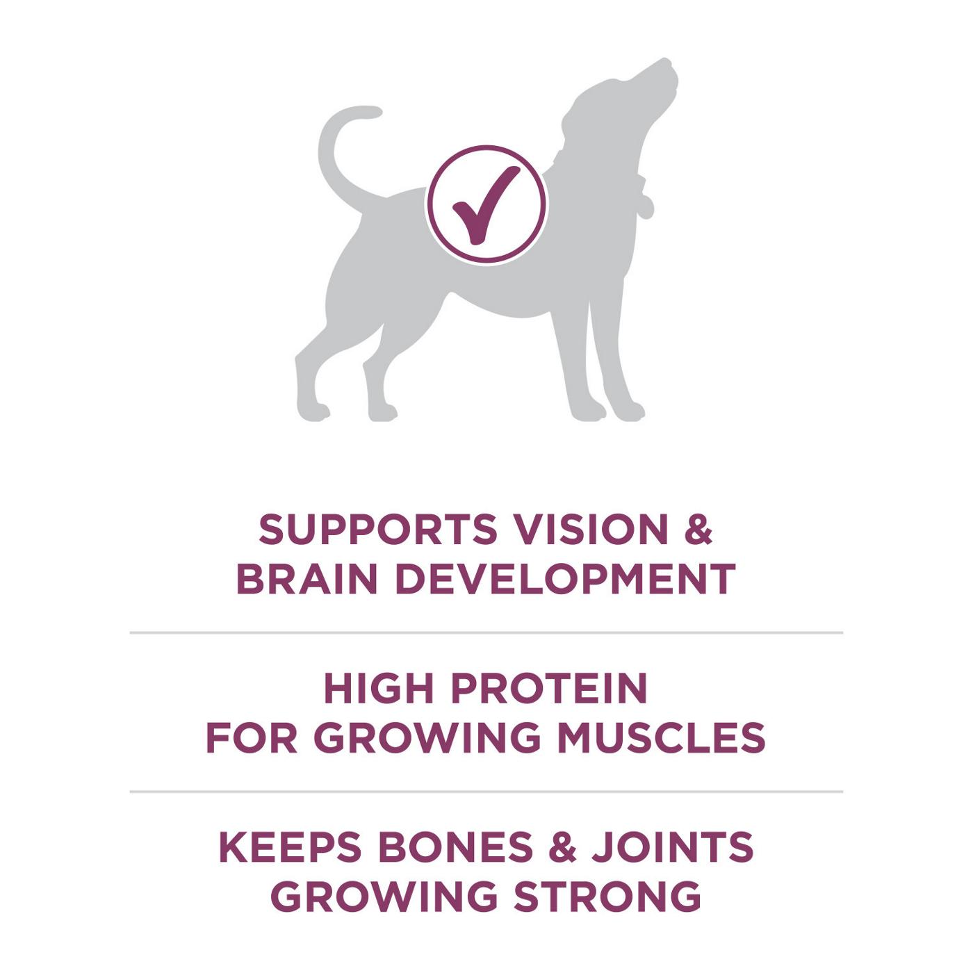 Purina ONE Plus Healthy Puppy Formula High Protein Natural Dry Puppy Food; image 6 of 6