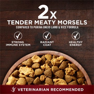 Purina ONE True Instinct High Protein Puppy Food Formula Natural - Real Salmon and Tuna