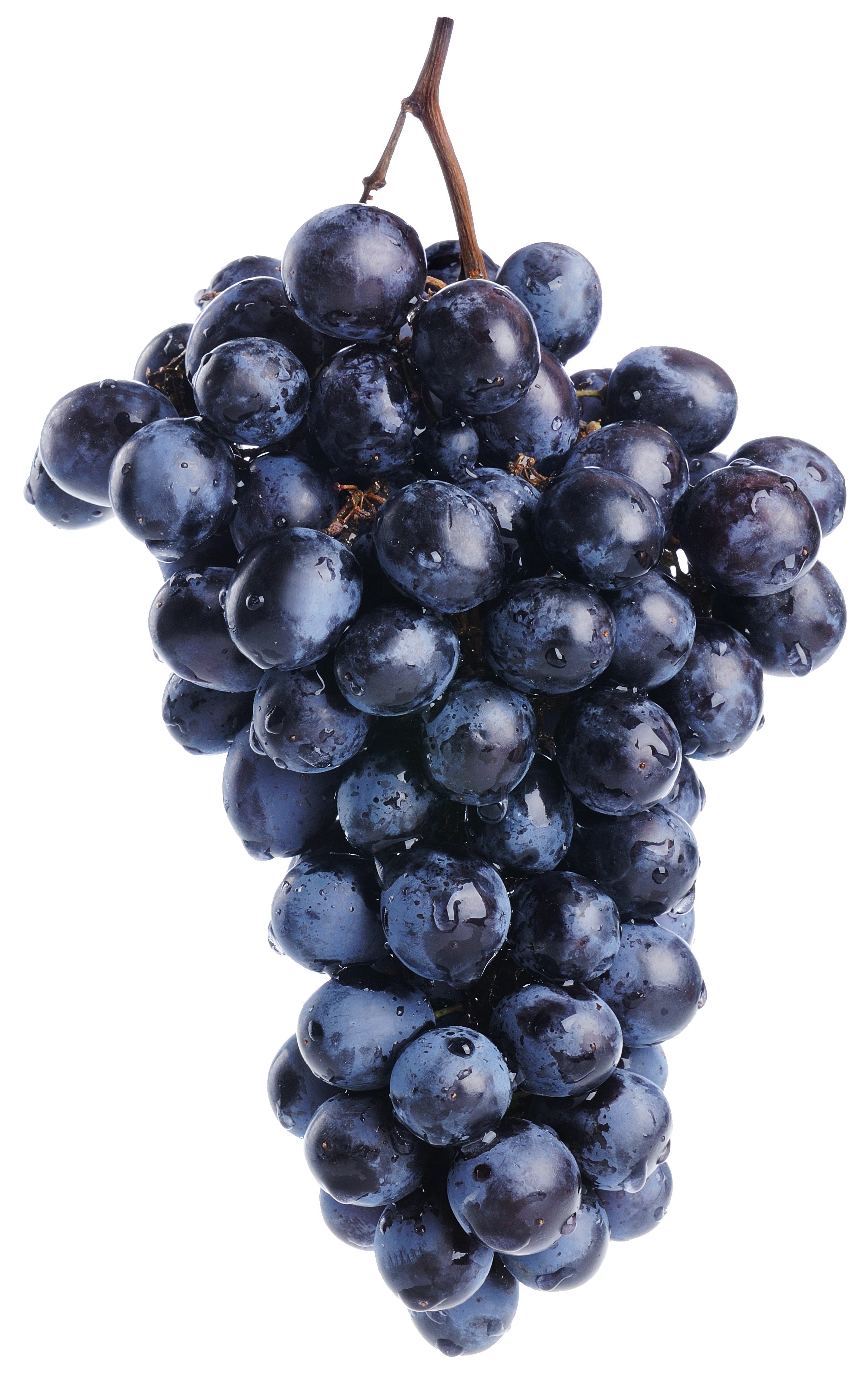 Fresh Organic Black Seeded Grapes - Shop Fruit At H-E-B