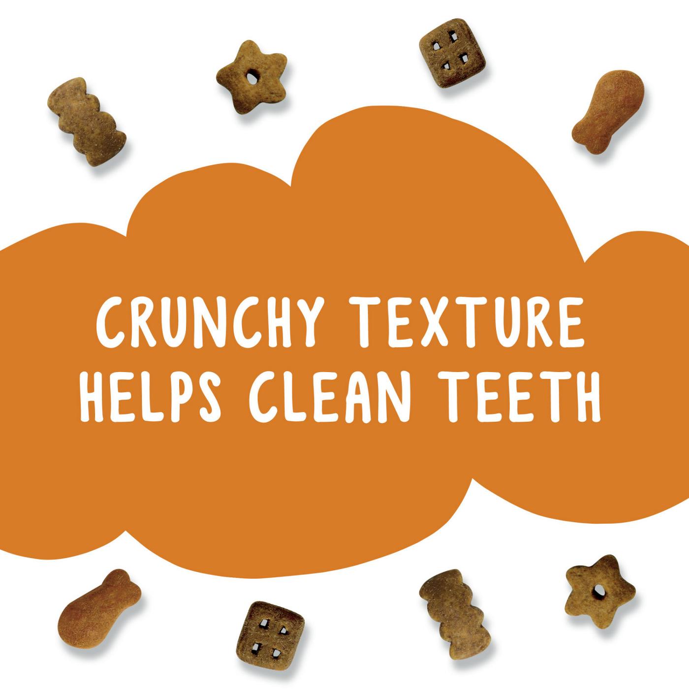 Friskies Purina Cat Treats Party Mix - Chicken Lovers Crunch; image 9 of 9