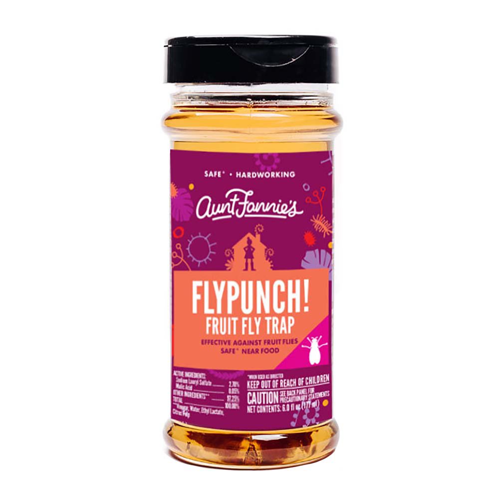 Aunt Fannie's FlyPunch! Fruit Fly Trap - Shop Insect Killers at H-E-B