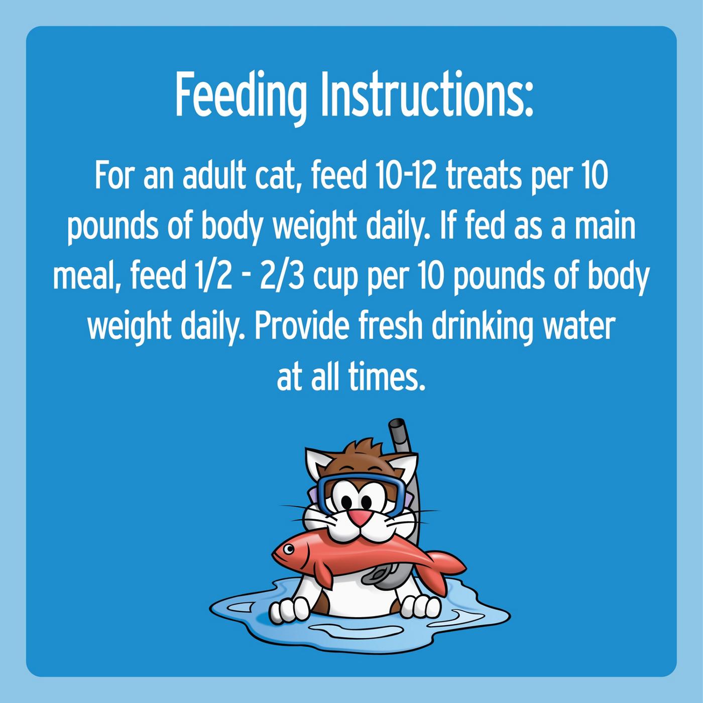 Temptations Classic Crunchy and Soft Cat Treats - Savory Salmon Flavor; image 4 of 4