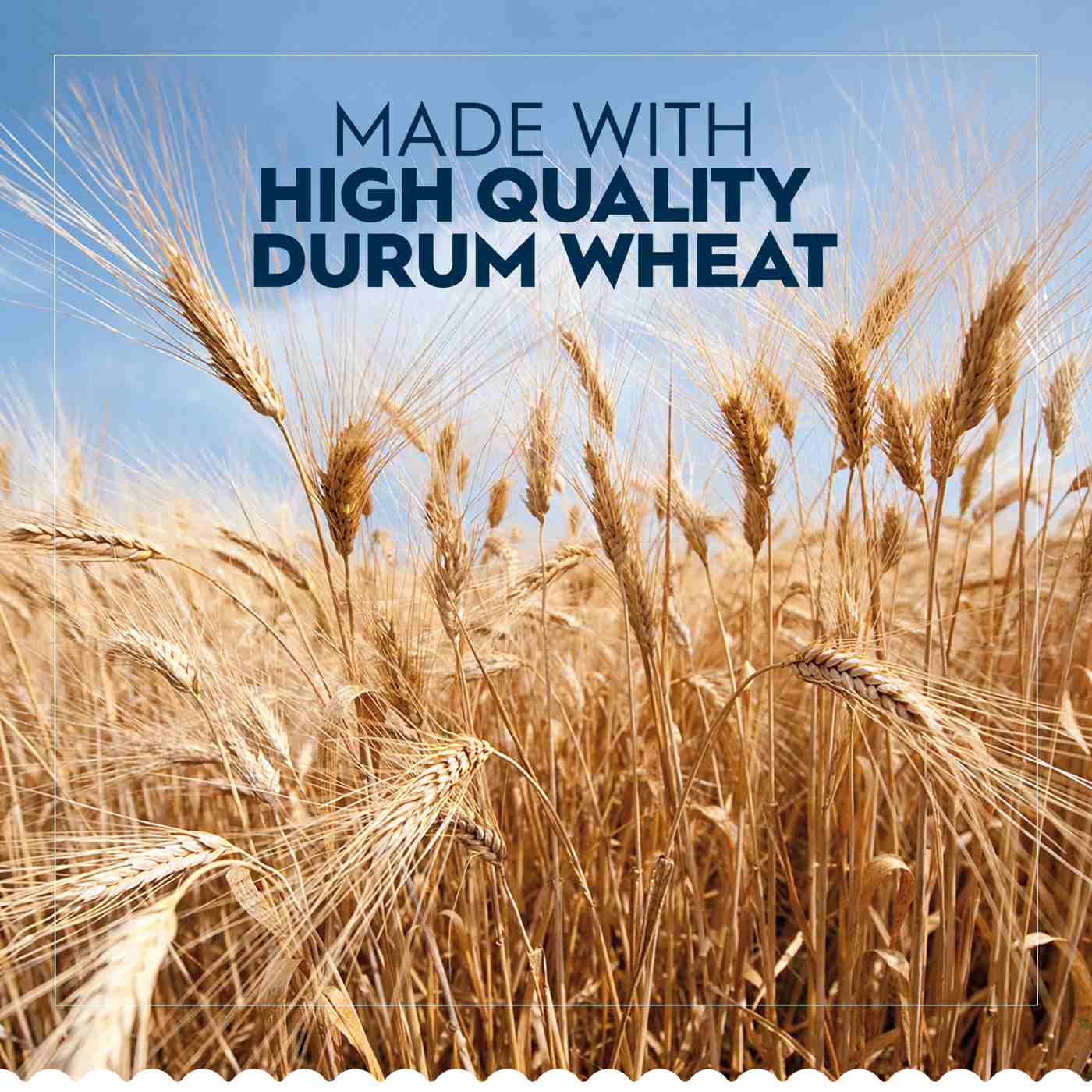 Barilla Oven-Ready Lasagne Pasta; image 4 of 6