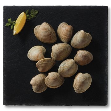 H-E-B Responsibly Raised Fresh Live Littleneck Clams, lb