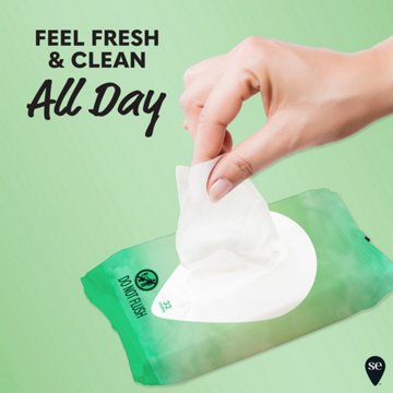 Summer's Eve Feminine Wipes - Aloe Love