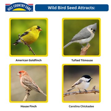 Hill Country Fare Wild Bird Seed, 20 lb