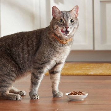 Meow Mix Hairball Control Dry Cat Food for Adult Cats