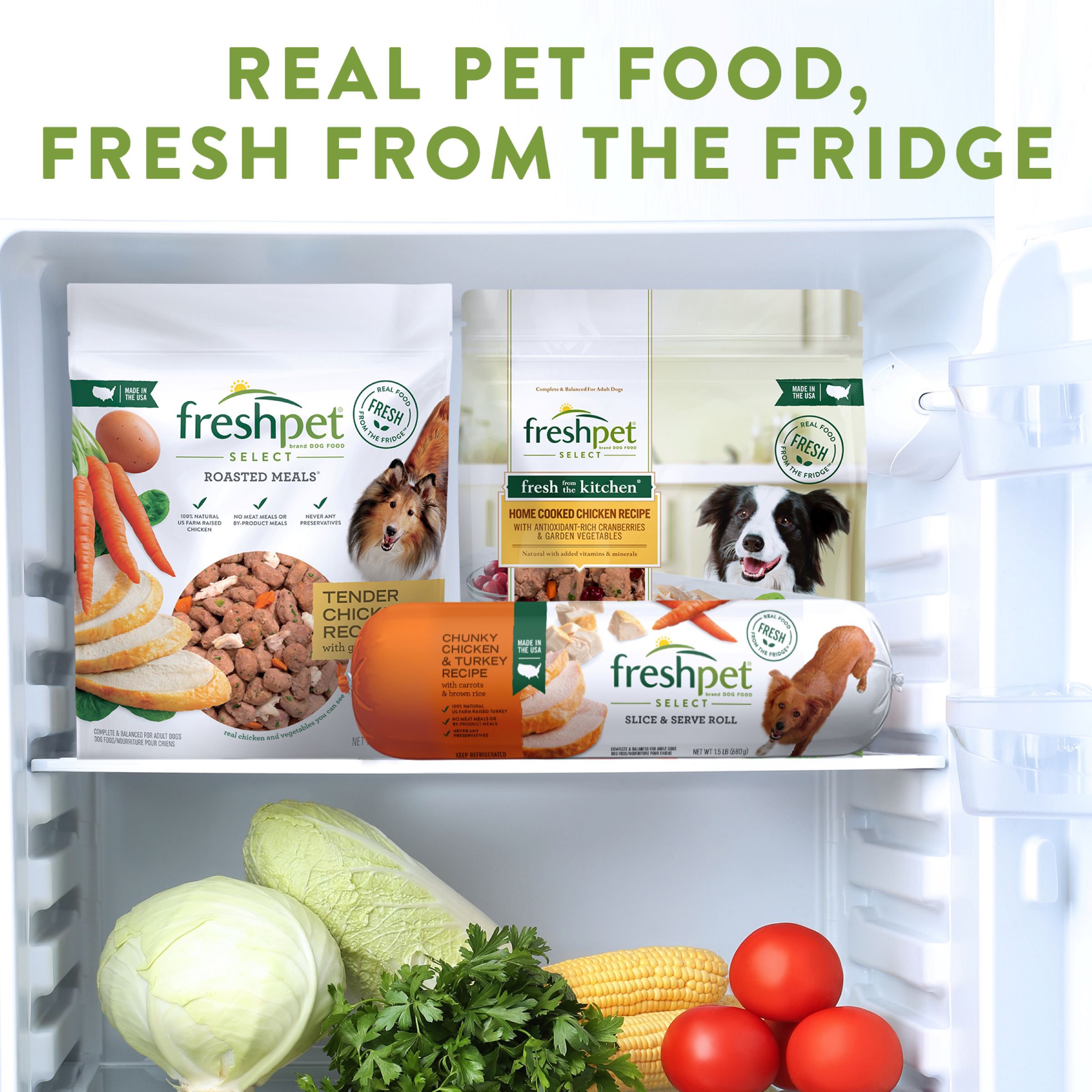 Freshpet Select Slice Serve Growth Development Recipe Puppy