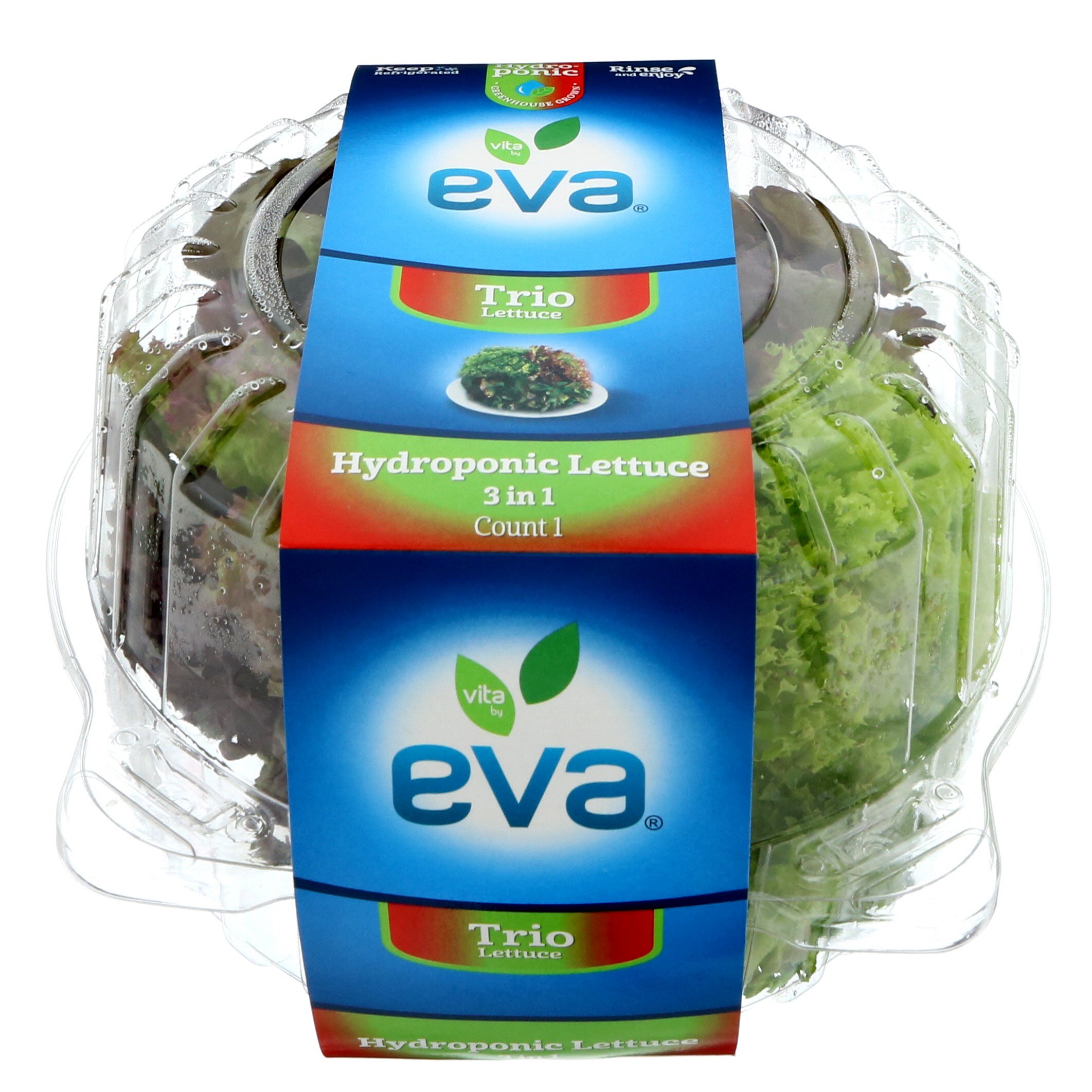 Eva Trio Hydroponic Lettuce - Shop Lettuce & Leafy Greens at H-E-B