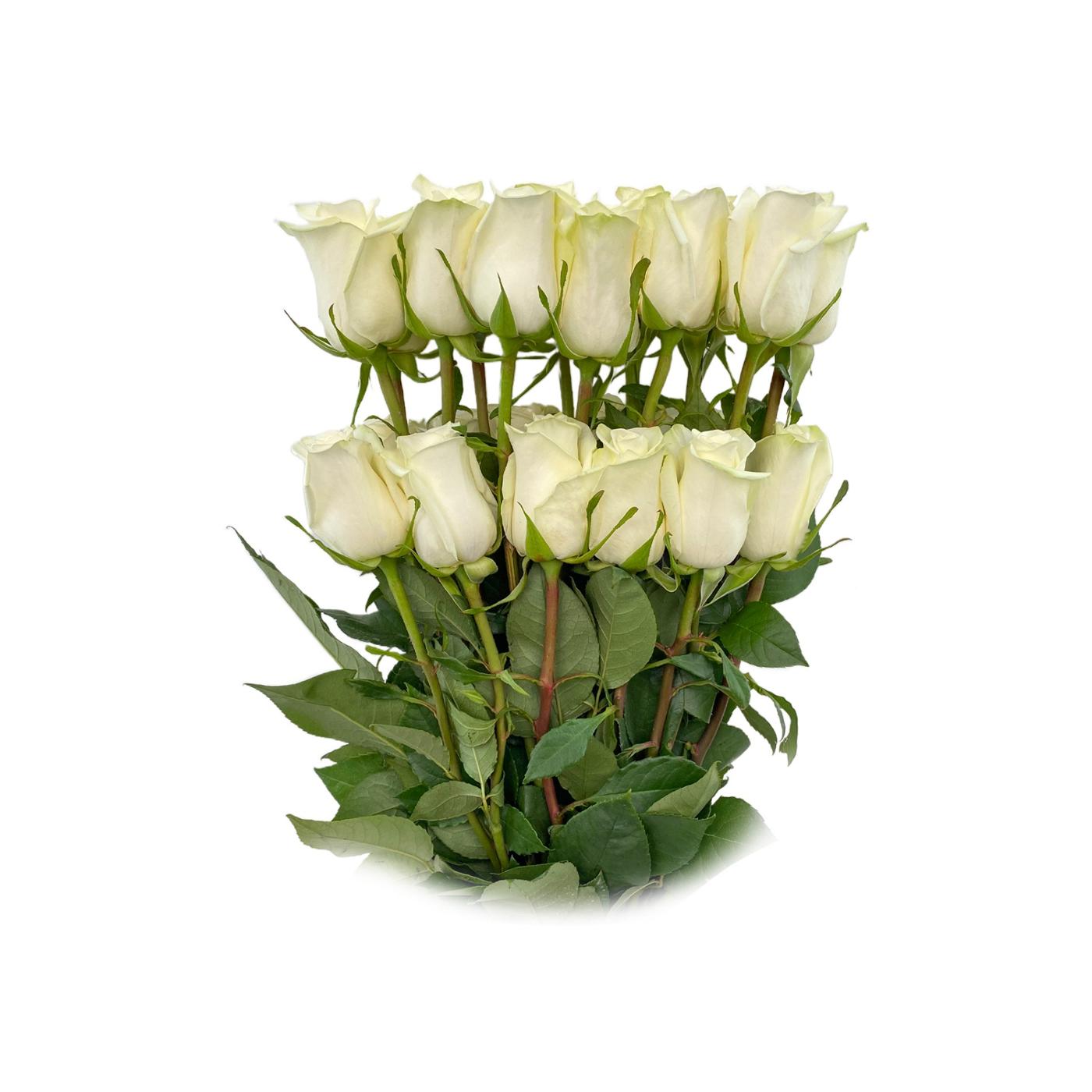 BLOOMS by H-E-B Farmers Bunch Assorted 24 Stem Roses - Shop Flowers ...