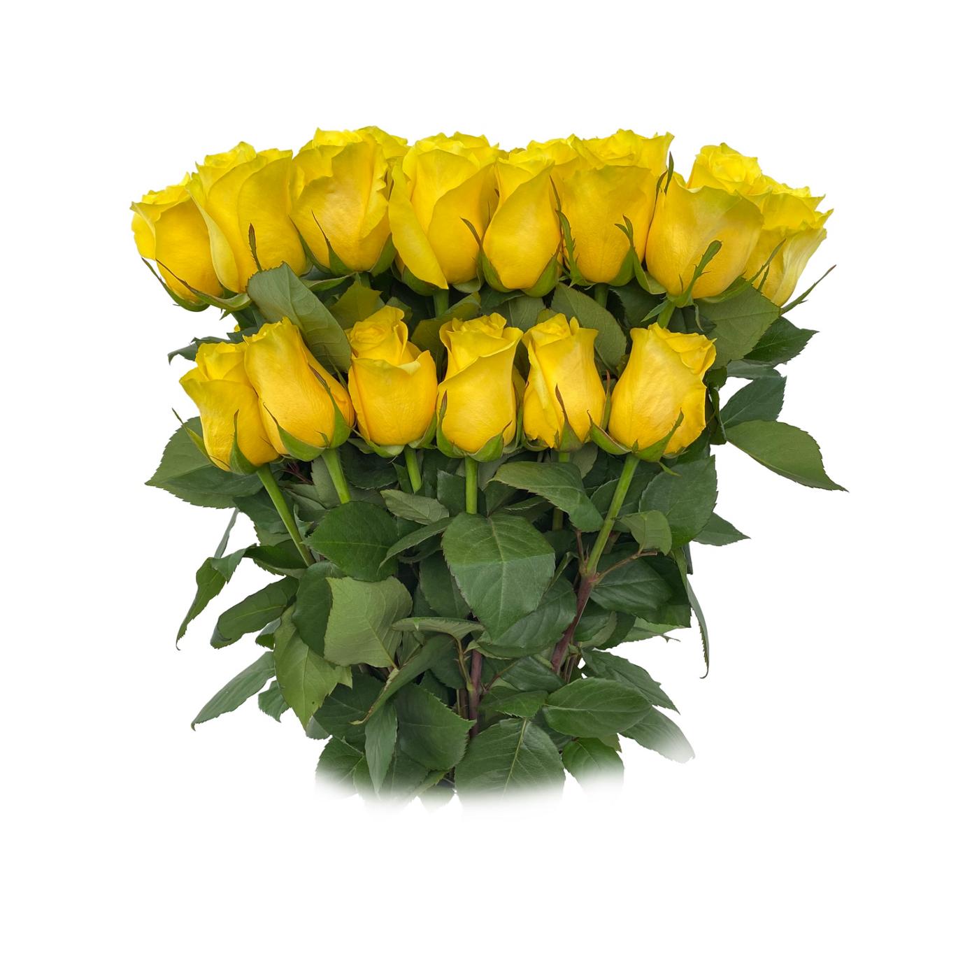 BLOOMS by H-E-B Farmers Bunch Assorted 24 Stem Roses - Shop Flowers ...