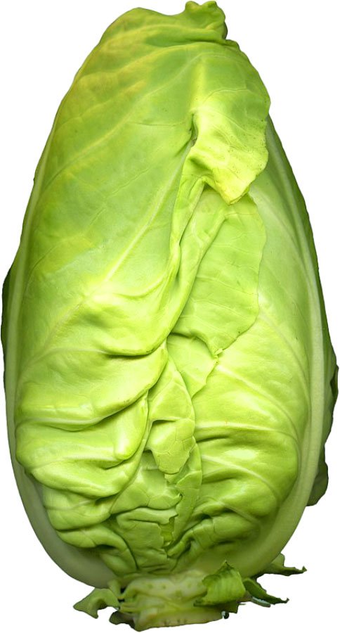 Kool Cabbage, ea | Central Market - Really Into Food