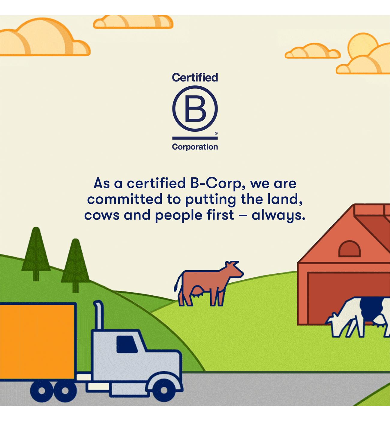 Tillamook Medium Cheddar Cheese Snack Bars, 10 ct; image 4 of 5