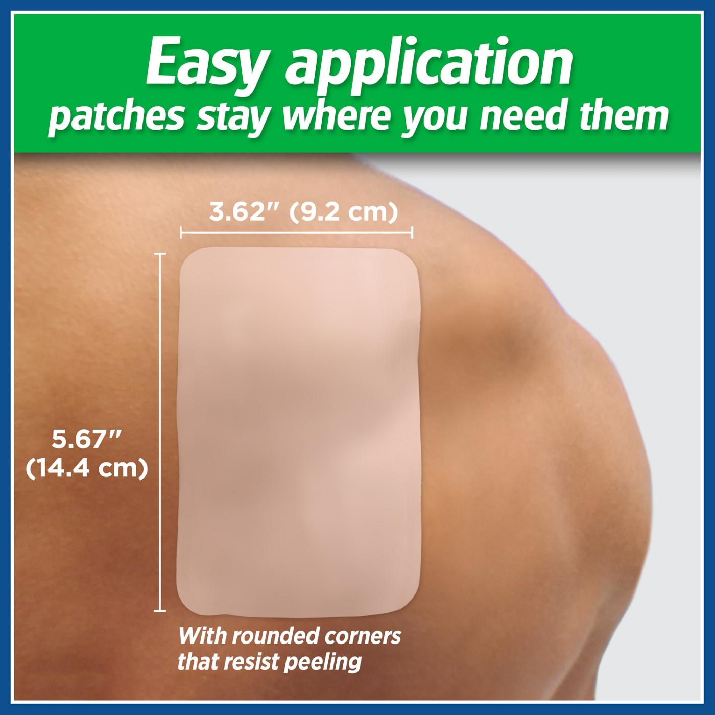 Salonpas Pain Relieving Patch, Large; image 6 of 6