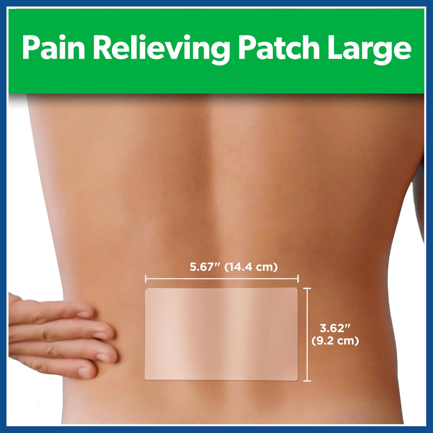 Salonpas Pain Relieving Patch, Large; image 5 of 5