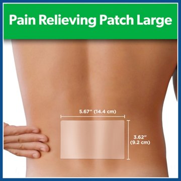 Salonpas Pain Relieving Patch, Large, 6 ct