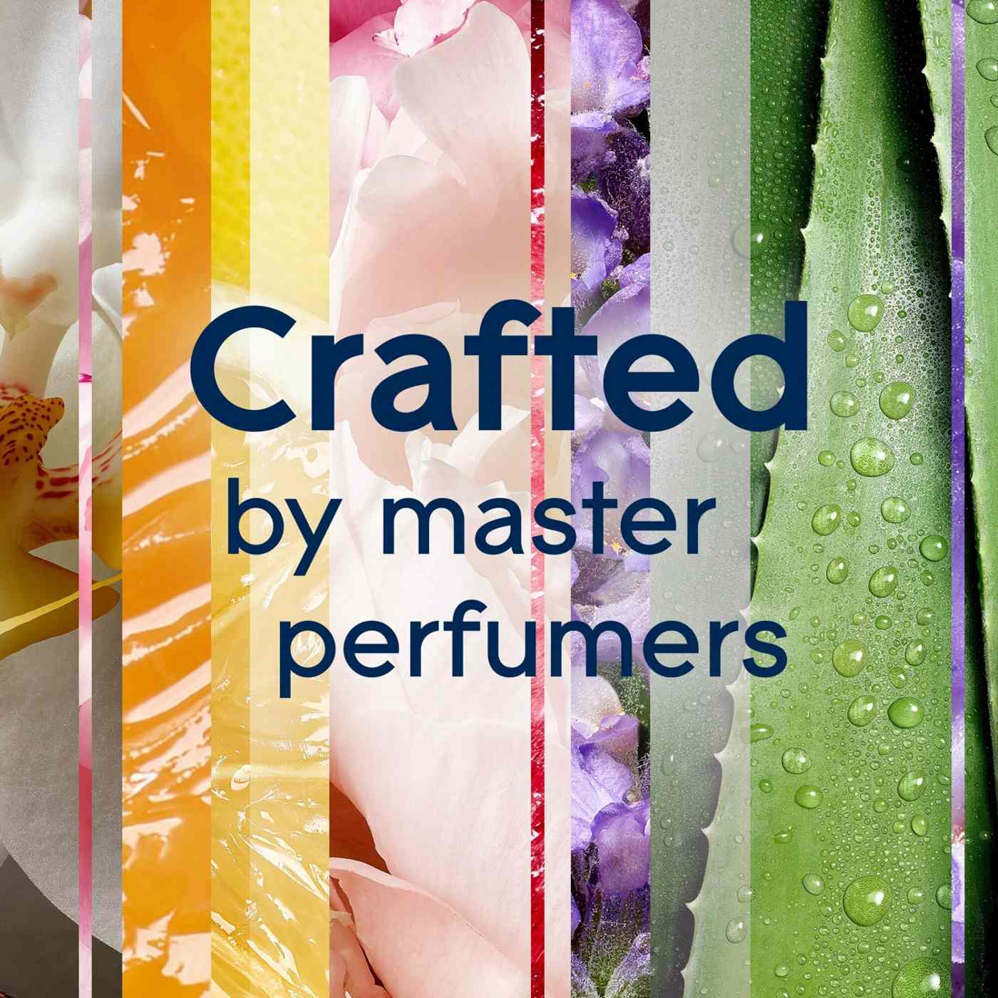 Glade PlugIns Scented Oil Air Freshener Refills - Vanilla Passion Fruit; image 7 of 14