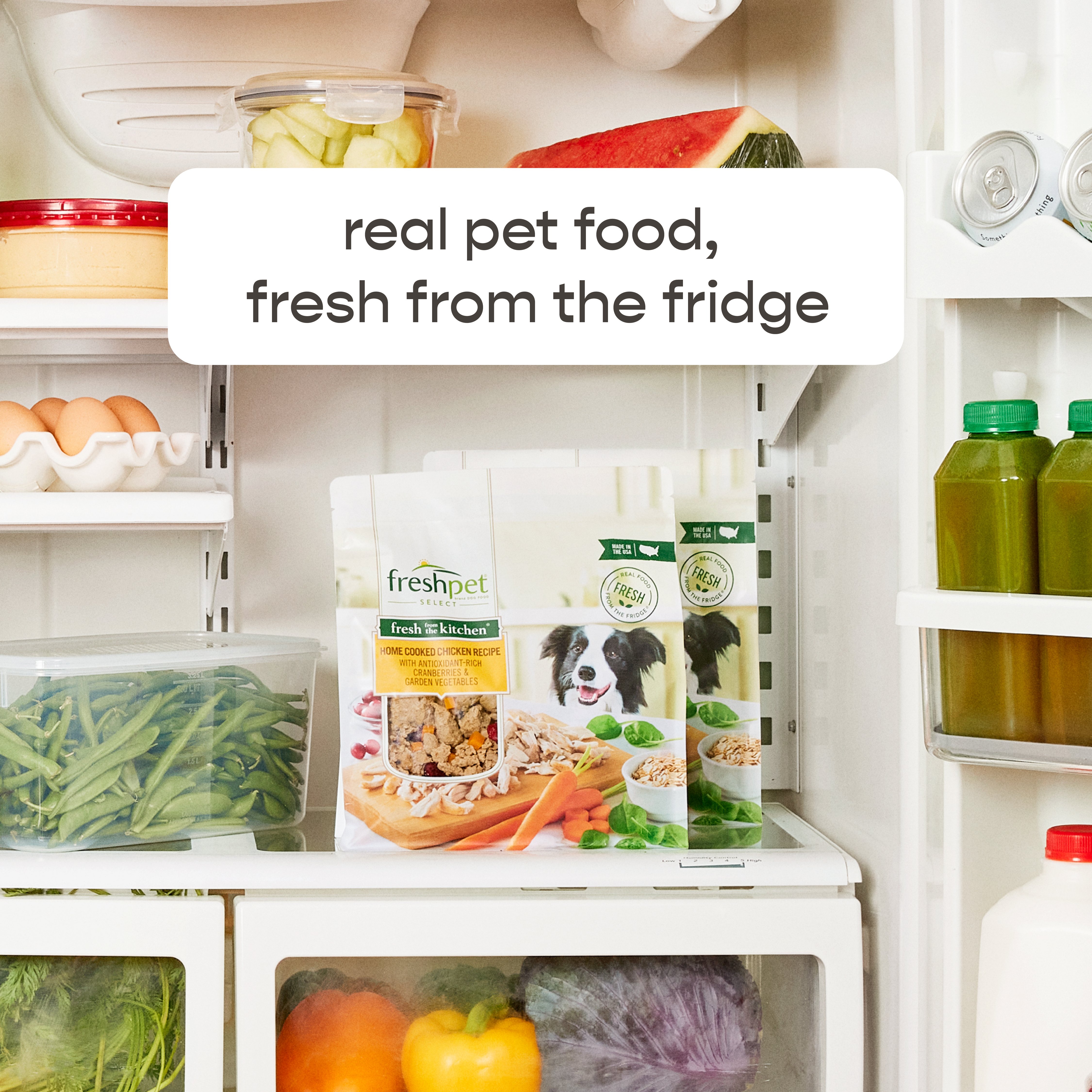 Freshpet Fresh from the Kitchen Home Cooked Chicken Fresh Dog Food Shop Food at H E B