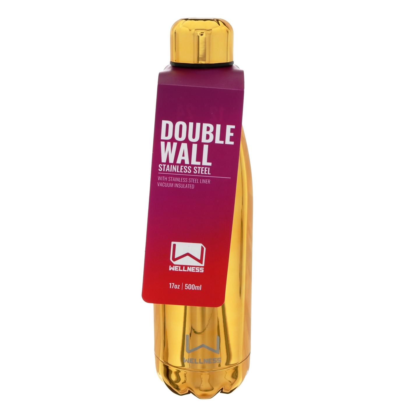 Double Wall Insulated Stainless Steel Water Bottle (3 colors